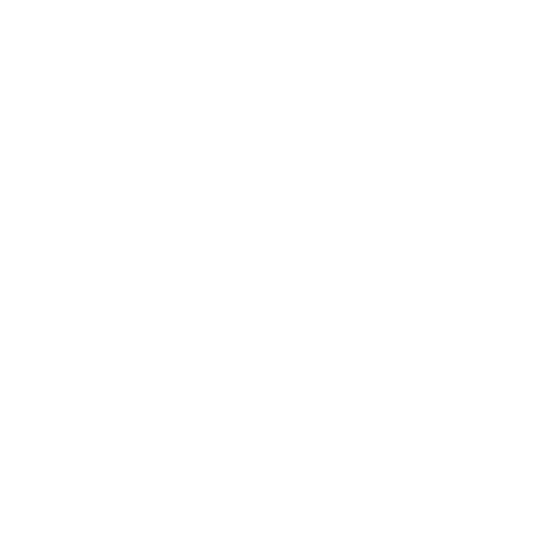 Crane Mountain Dental Logo